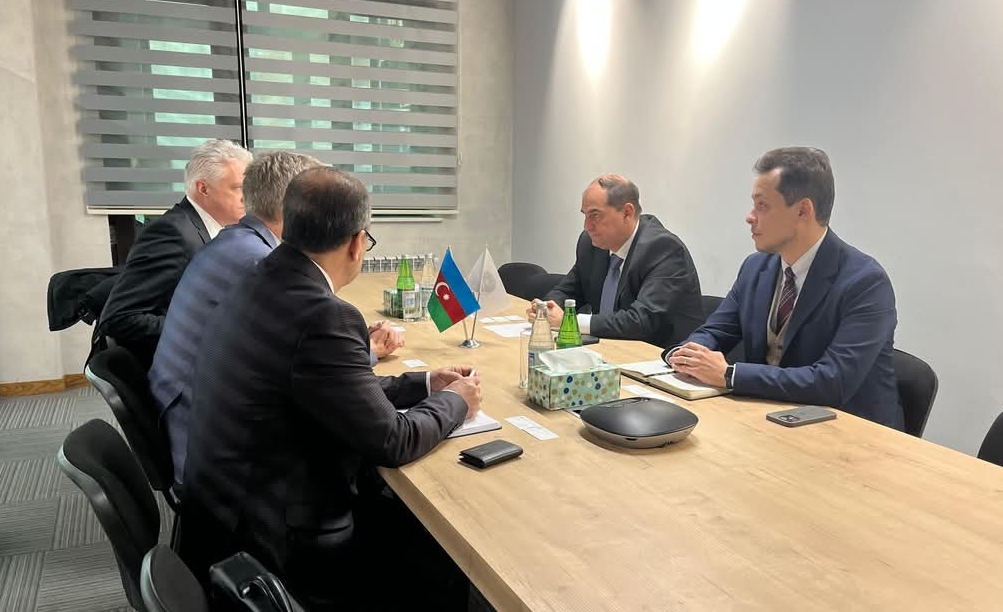 Discussions have been held on Azerbaijani-Swedish cooperation in Caspian wind energy projects - 1