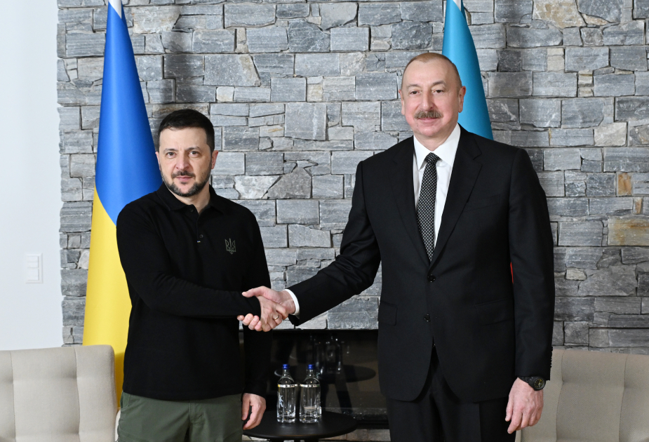 Ilham Aliyev met with Volodymyr Zelenskyy on January 22 in Davos - 1