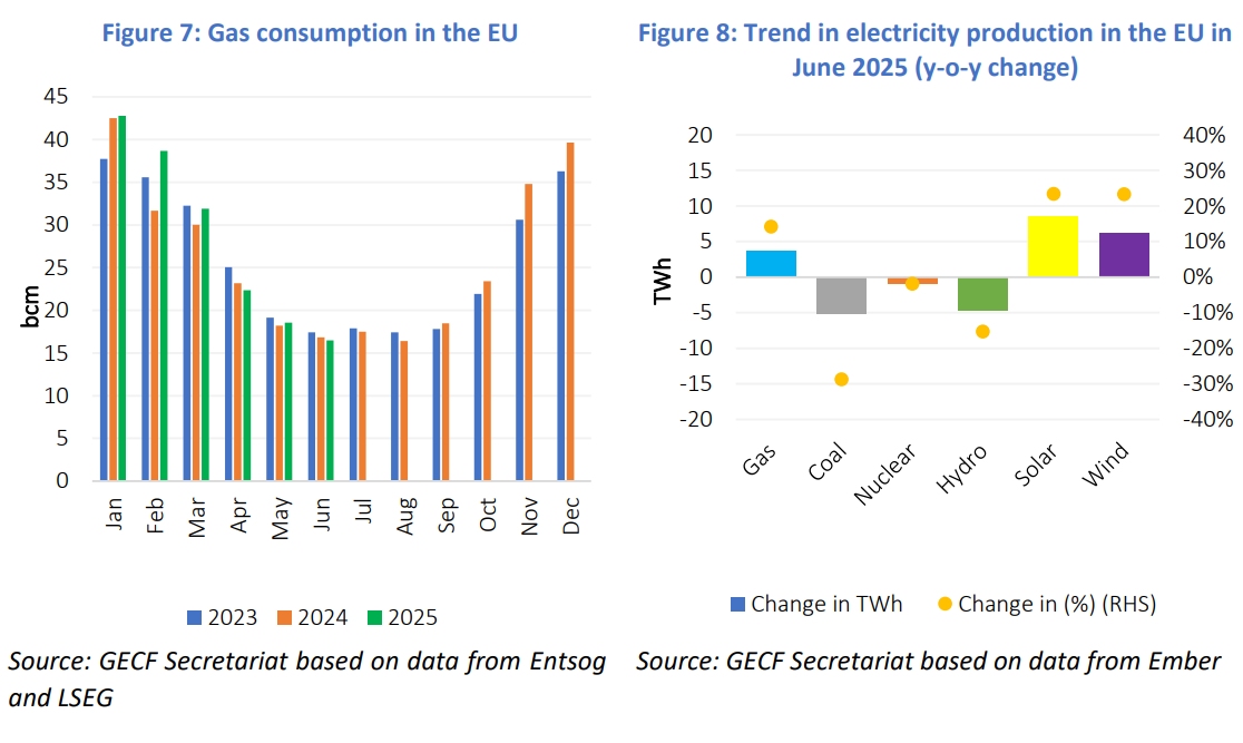 Natural gas consumption and electricity generation in the EU